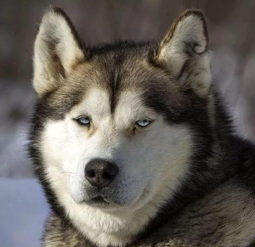 杭州么哈吃瓜,揭秘网红美食背后的故事