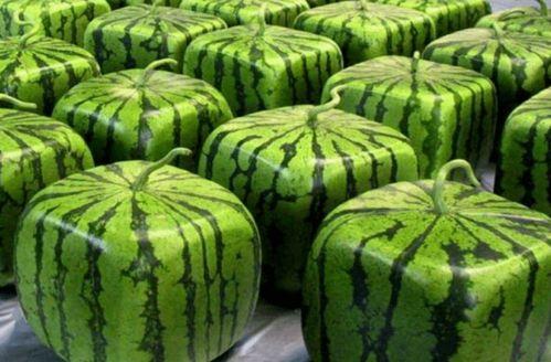 全网吃瓜最快最全,揭秘娱乐圈最新热点！