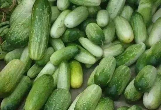 云南财经吃瓜,吃瓜群众揭秘热点事件背后的真相