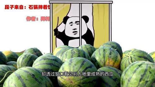 吃瓜二表哥,揭秘娱乐圈背后的那些事儿